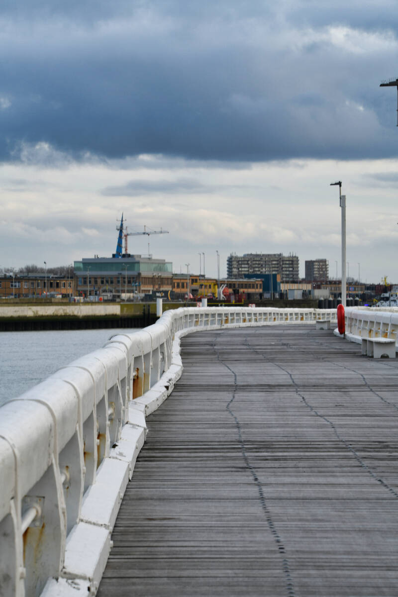 dsc_5667-standard.jpg