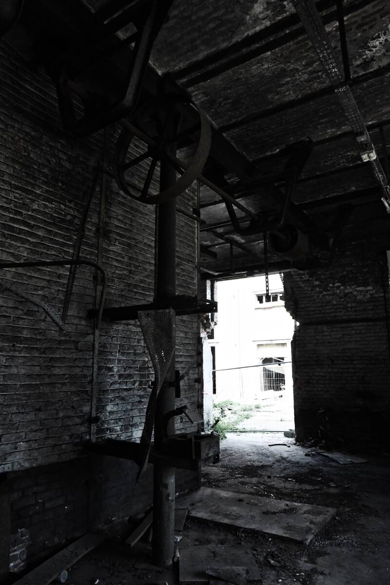 dsc_8235-standard.jpg