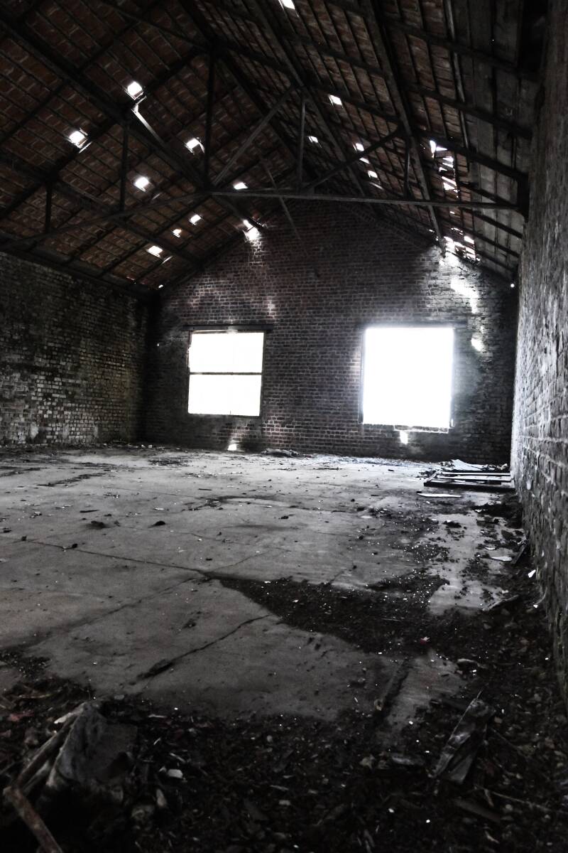 dsc_8262-standard.jpg