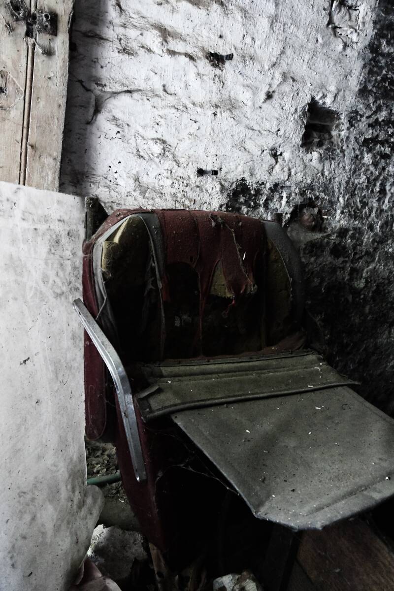 dsc_8311-standard.jpg
