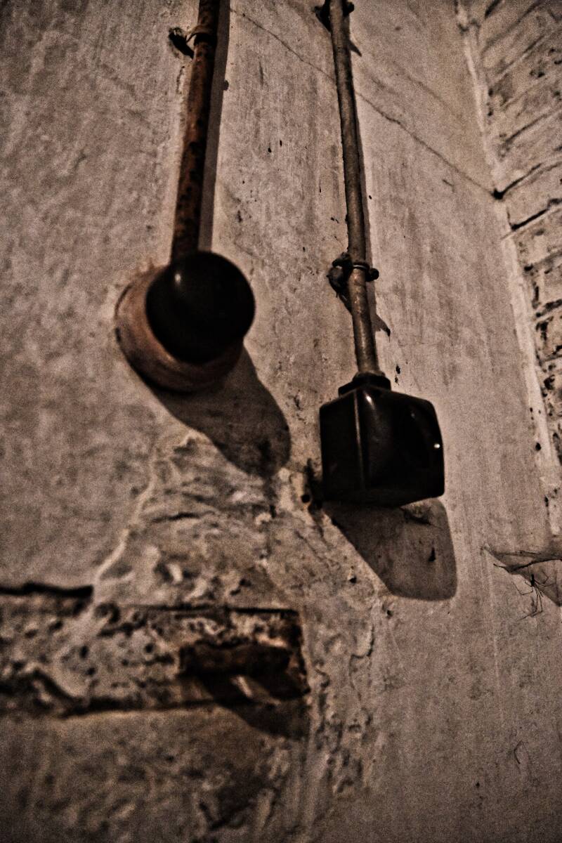 dsc_8648-standard.jpg