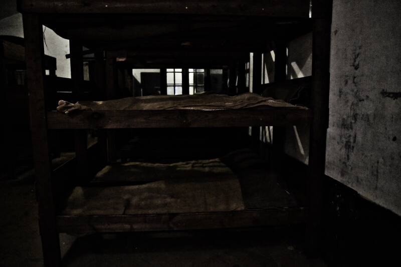 dsc_8651-standard.jpg