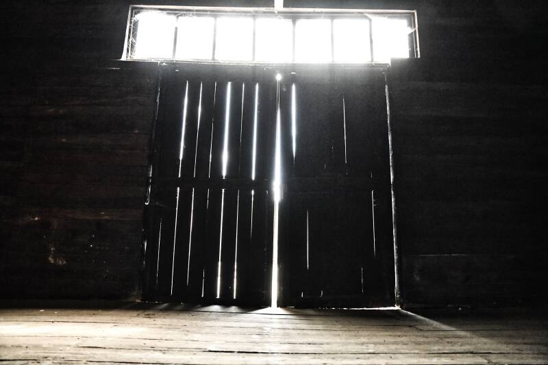 dsc_8687-standard.jpg