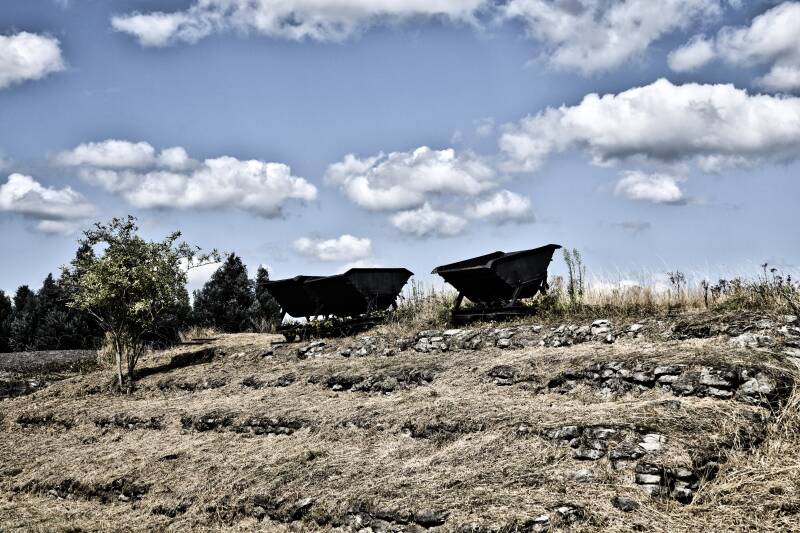 dsc_8710-standard.jpg