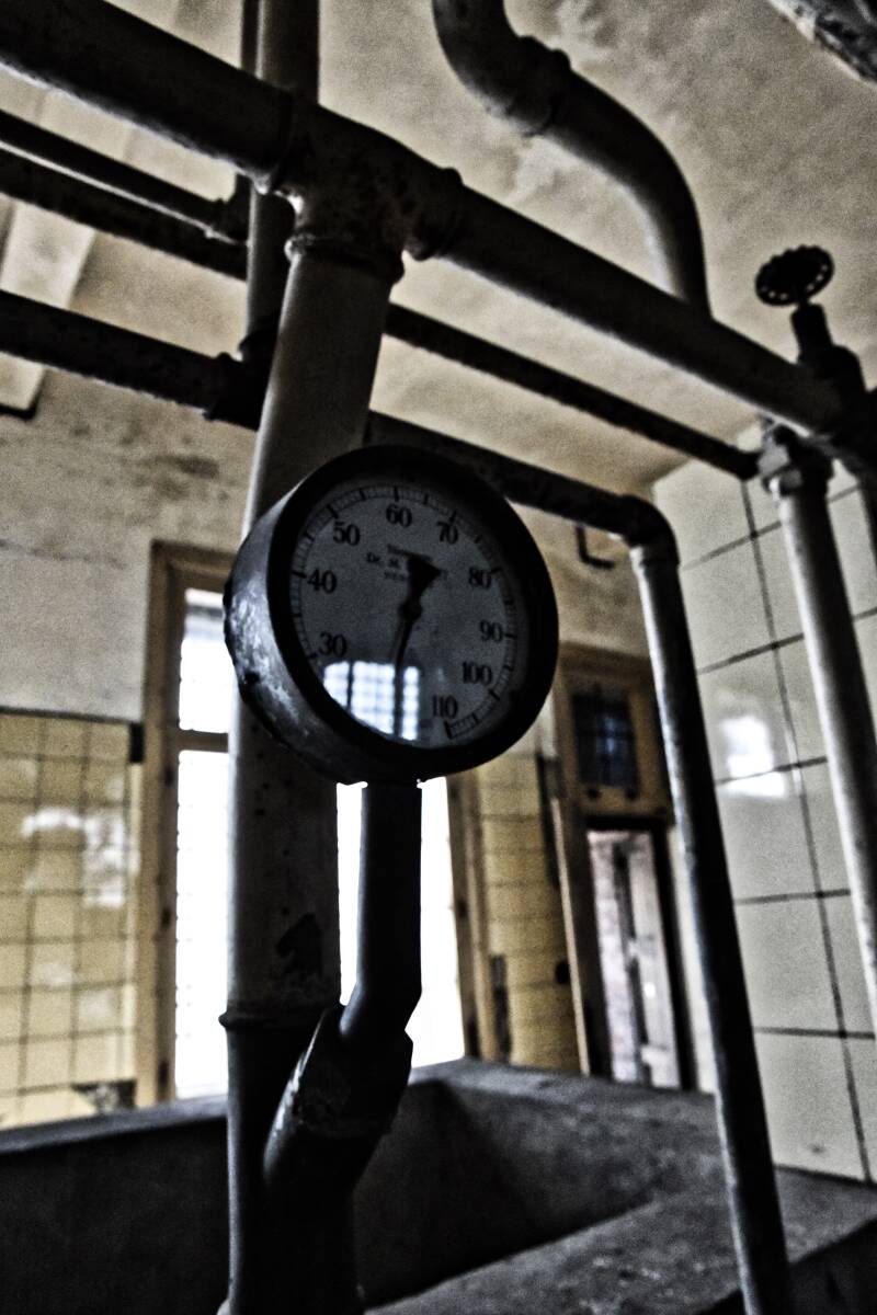 dsc_8728-standard.jpg