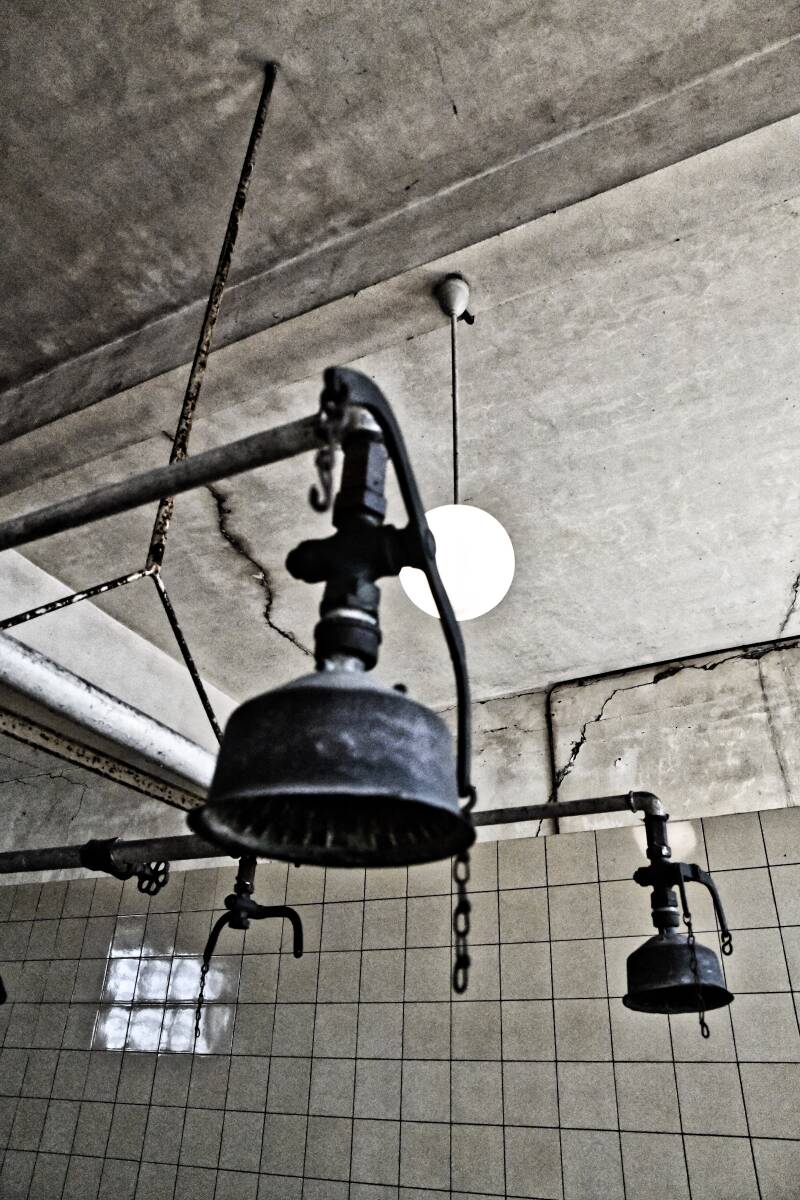 dsc_8729-standard.jpg