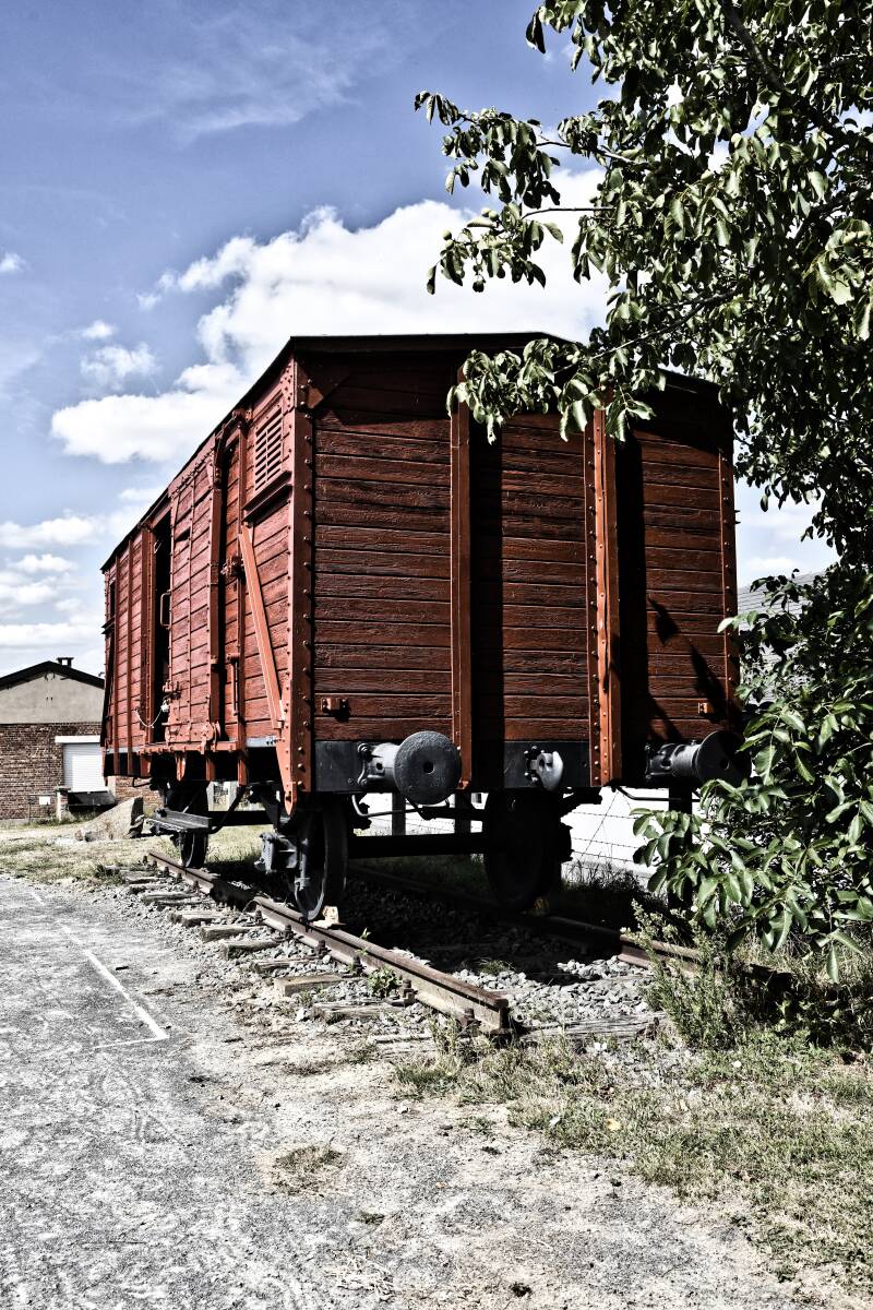 dsc_8755-standard.jpg