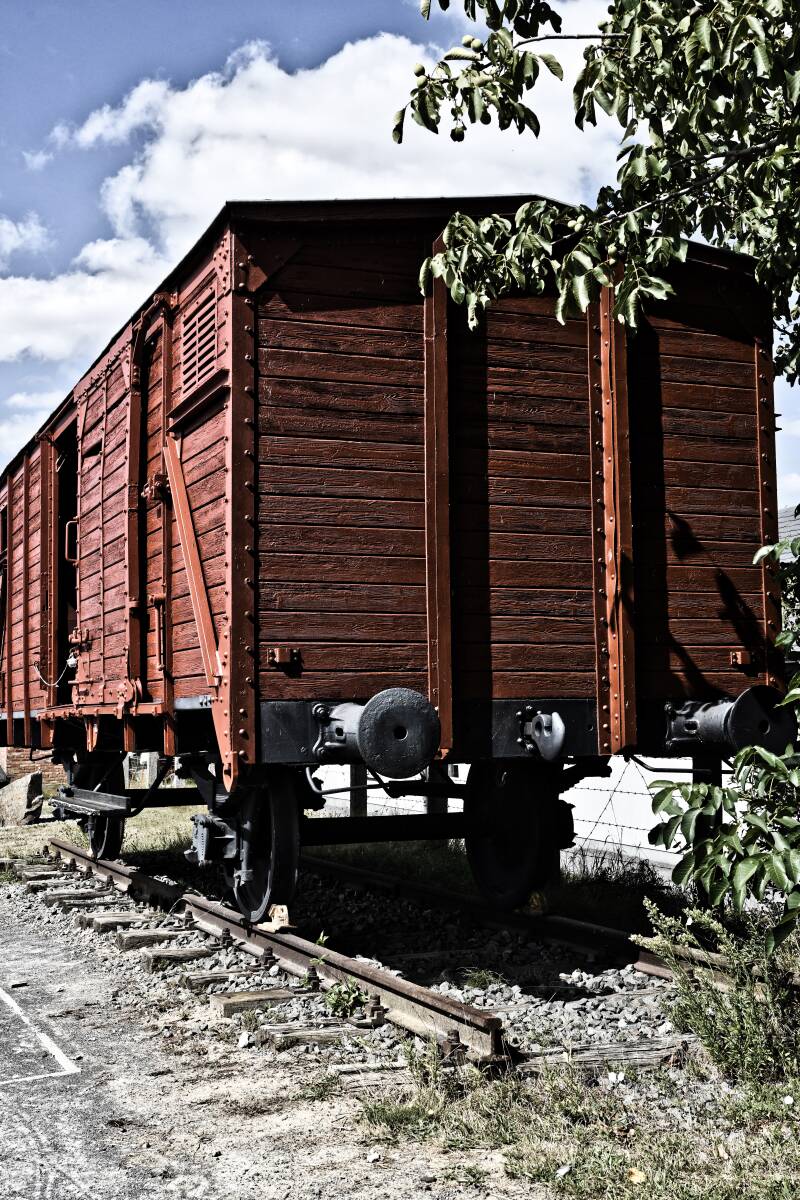 dsc_8756-standard.jpg