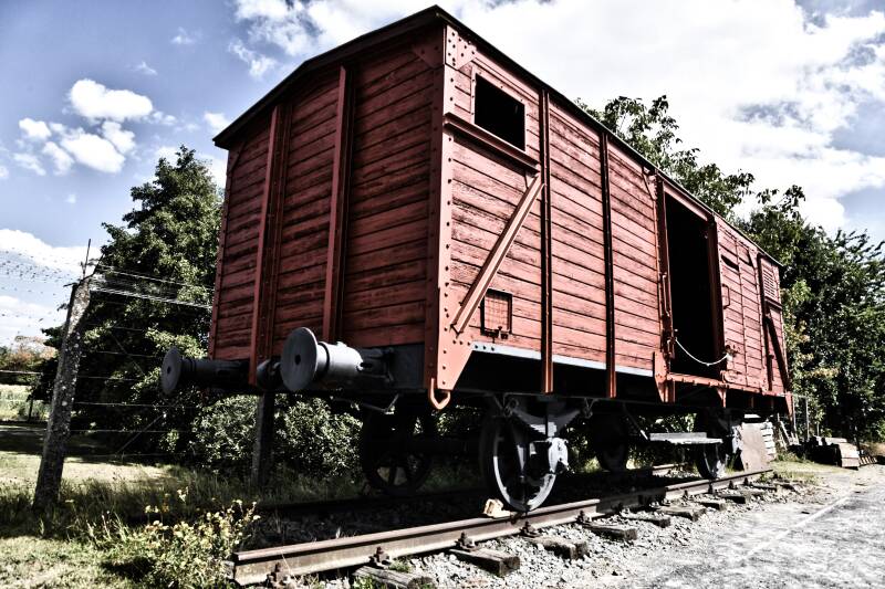 dsc_8760-standard.jpg