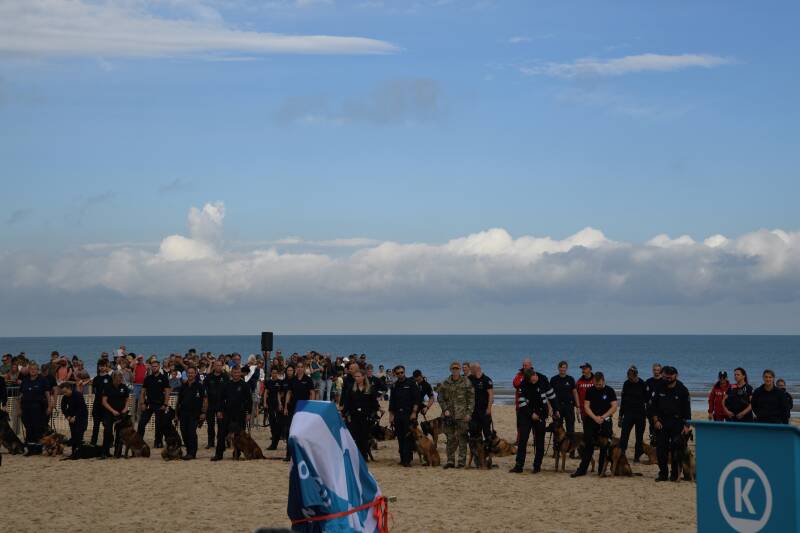 dsc_8775-standard.jpg