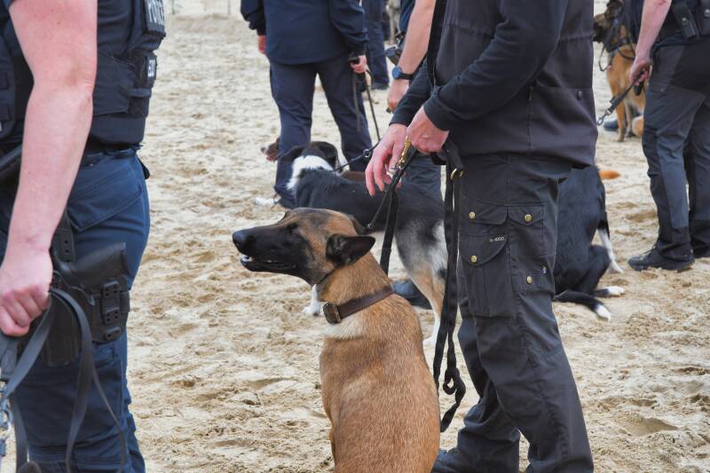 dsc_8869-standard.jpg