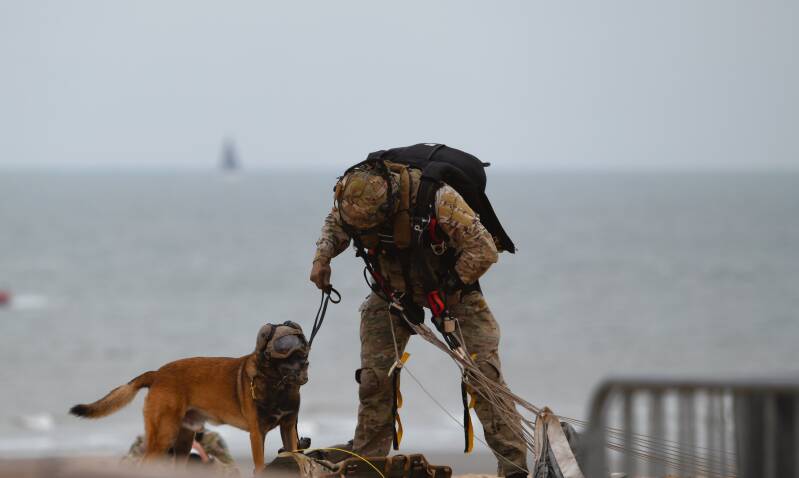 dsc_8947-standard.jpg