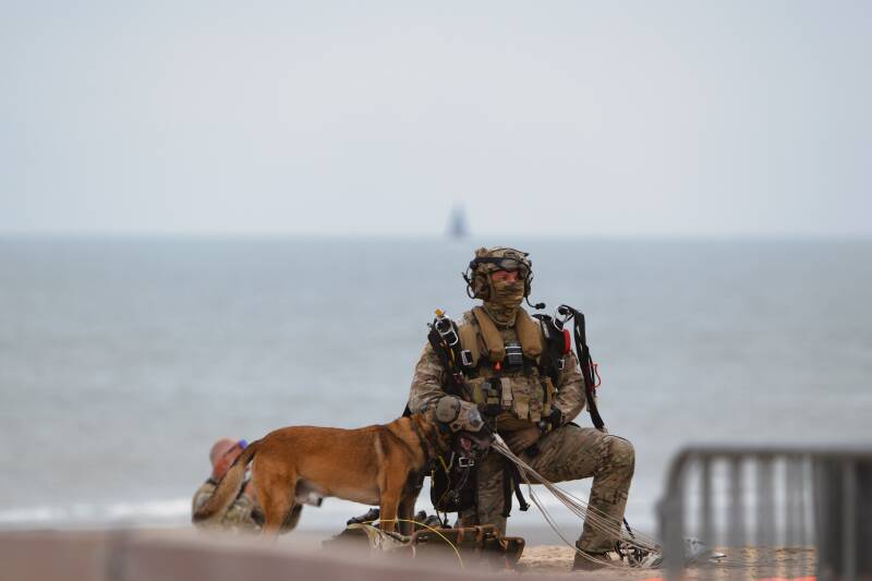 dsc_8950-standard.jpg