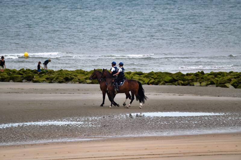 dsc_9015-standard.jpg