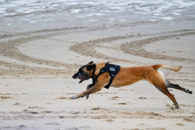dsc_9090-standard.jpg