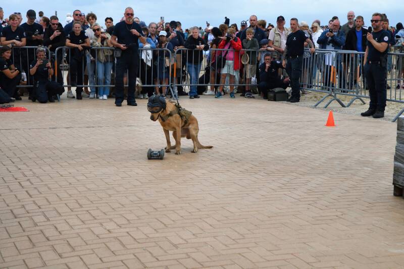 dsc_9103-standard.jpg