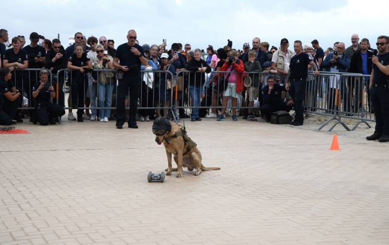 dsc_9104-standard.jpg