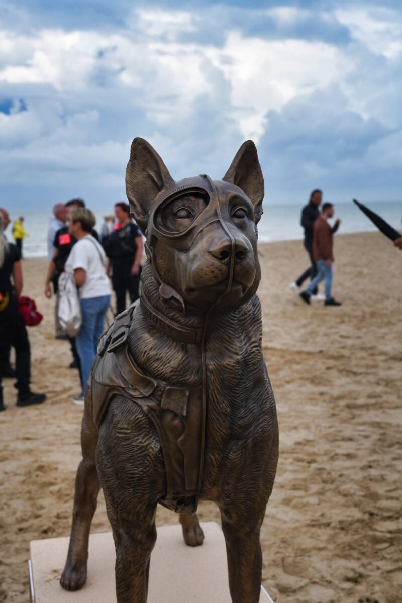 dsc_9119-standard.jpg