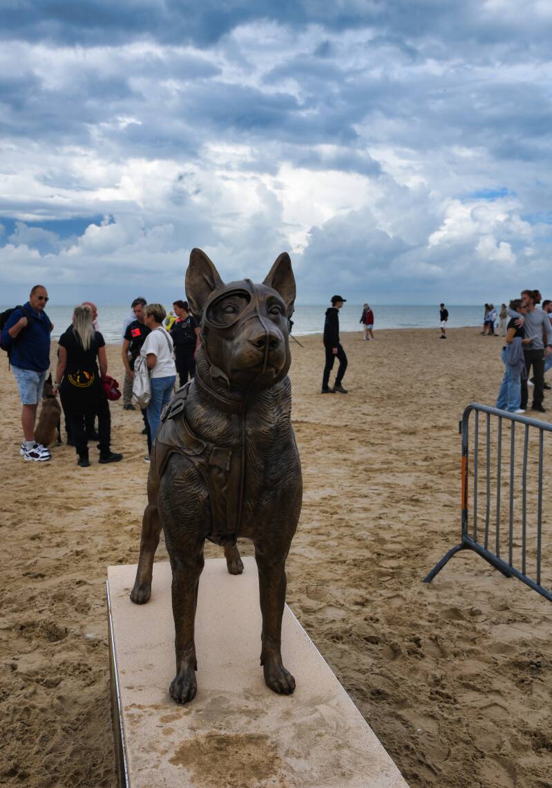 dsc_9121-standard.jpg