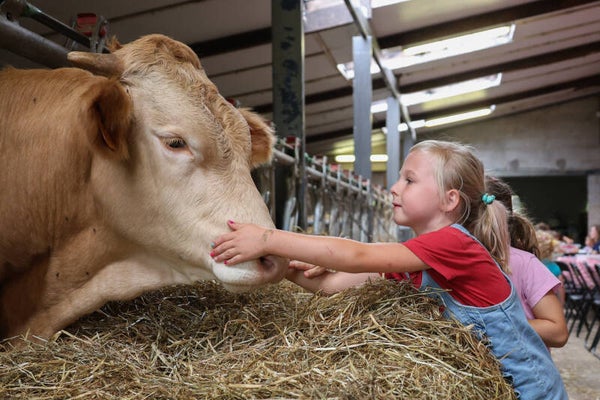 Boerderijbelevingsdag - zondag 21 maart '27 - 12u-15u