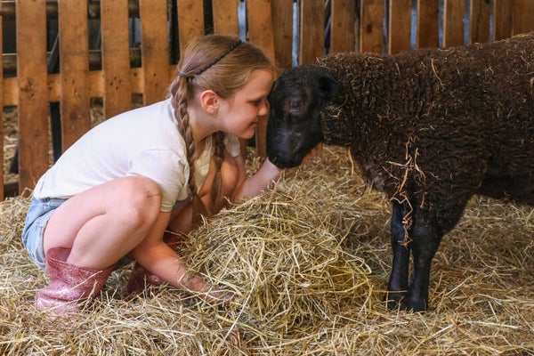 Boerderijbelevingsdag - zaterdag 13 maart '27 - 11u-14u