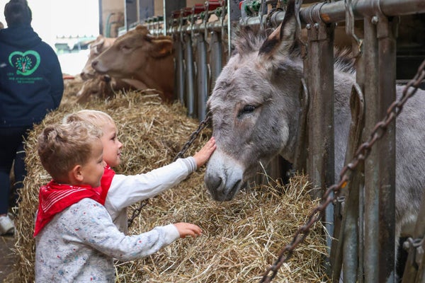 Belevingsdag - zaterdag 8 maart 2025 - 11u-14u