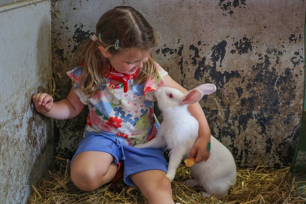 Mini boerderijkampje - halve dag - woe 6 aug '25