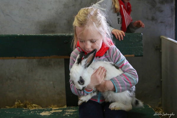Boerderijbelevingsdag - zondag 10 april '27 - 13u-16u