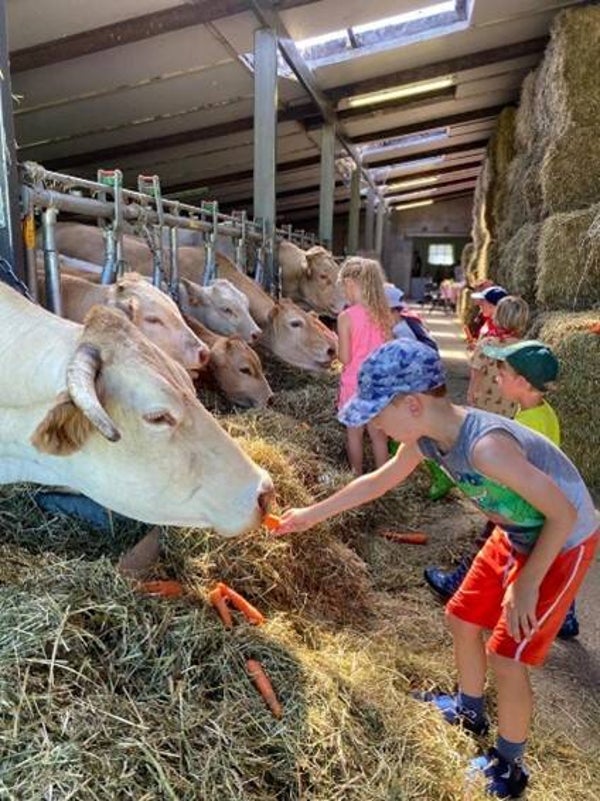 Keitof boerderijkampje - maandag 13 juli '26