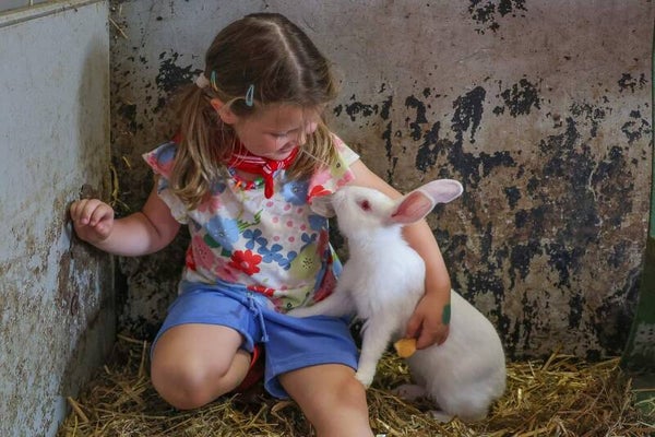 Mini boerderijkampje voor de allerkleinsten - maandag 10 aug 2026