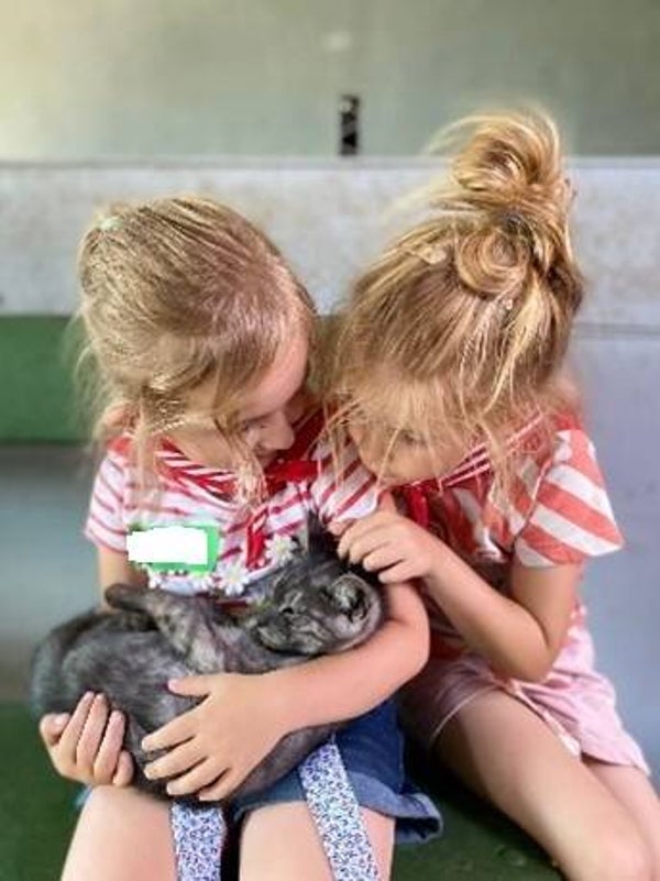 Mini boerderijkampje voor de allerkleinsten - vrij 9 aug '24