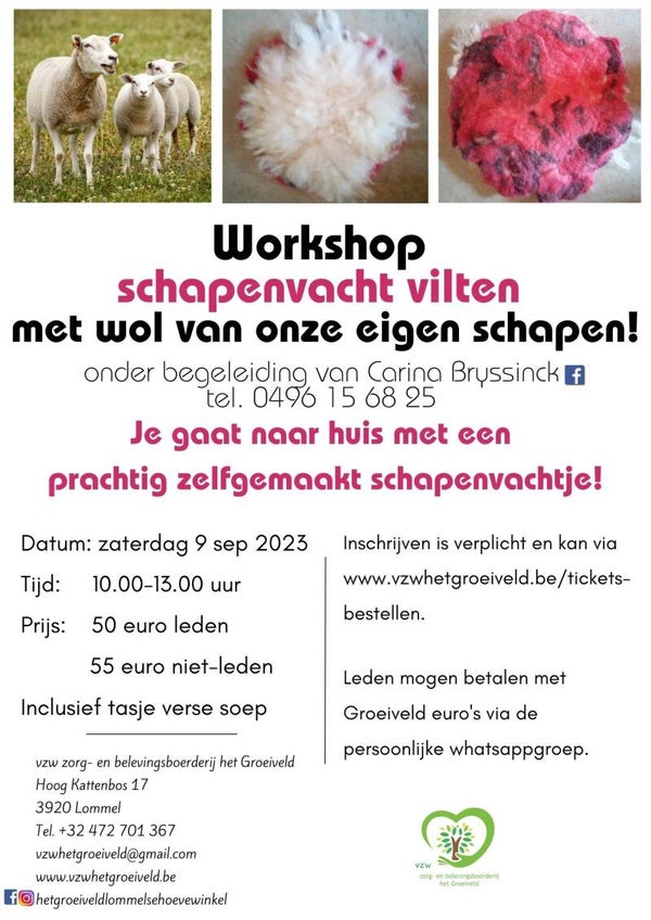 GEANNULEERD: Workshop schapenvacht vilten - met wol van onze eigen schapen! - 9 sep '23