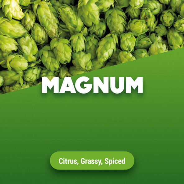 magnum-standard.jpg