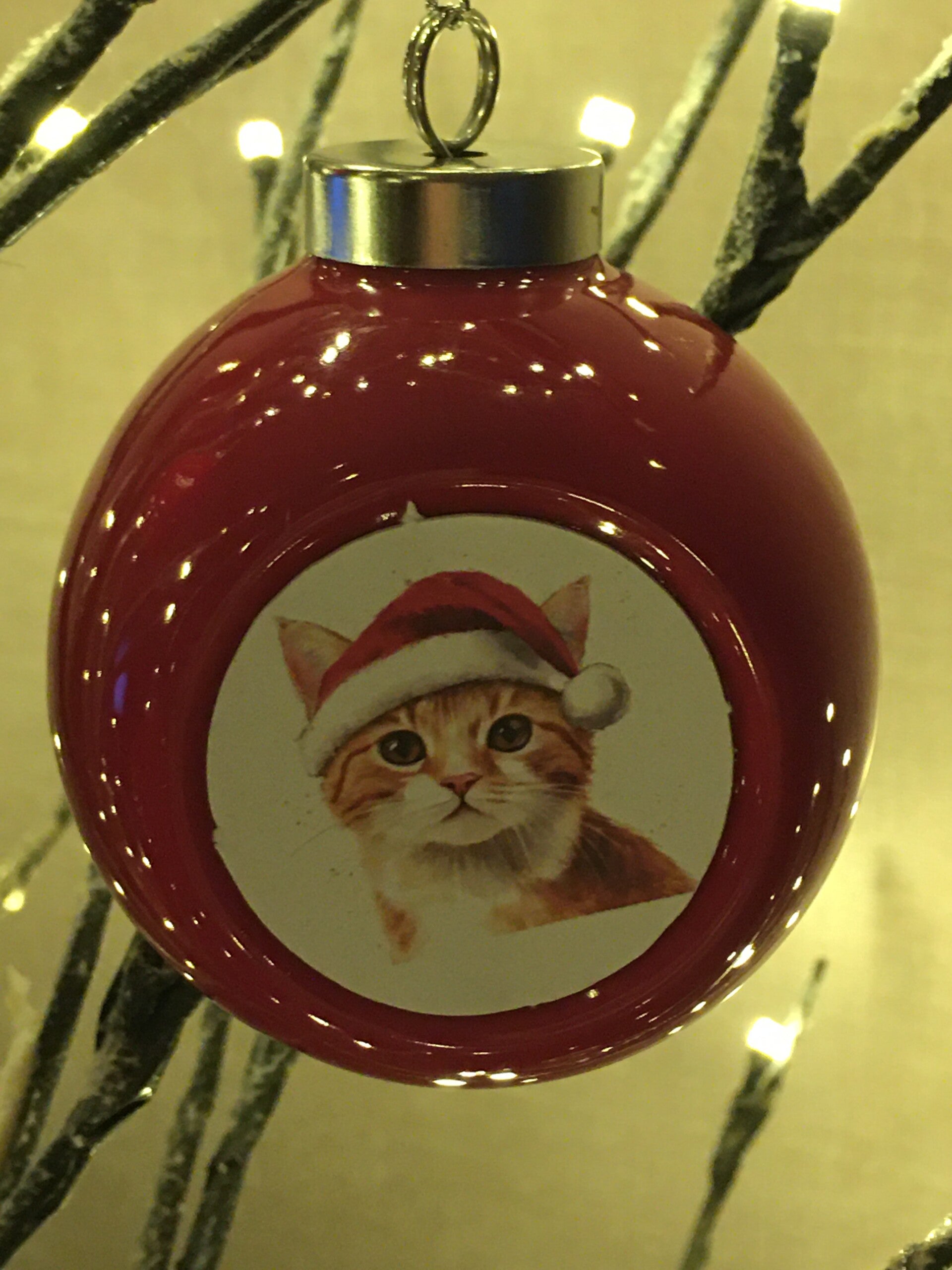 Rode kerstbal katje