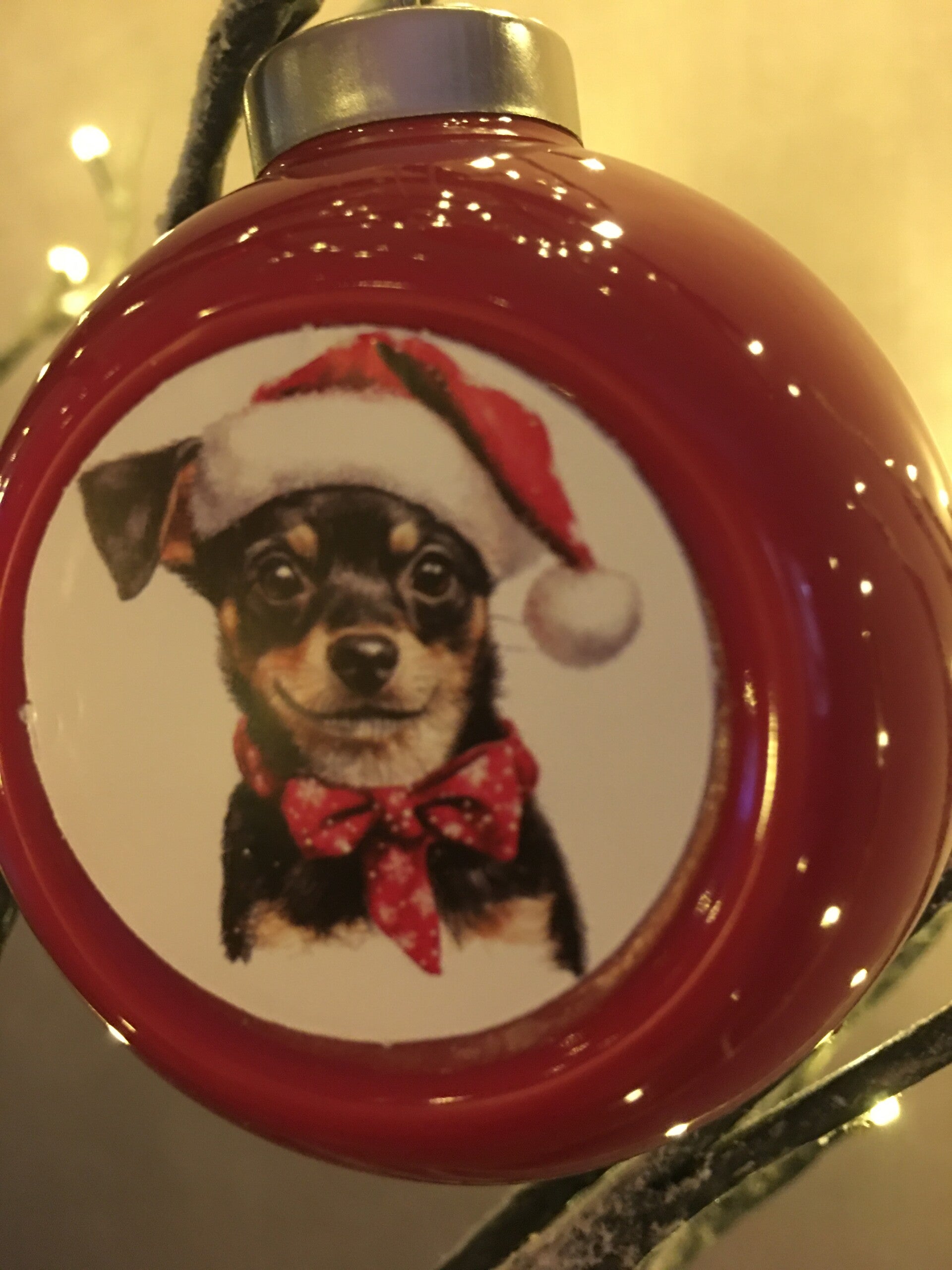 Rode kerstbal hondje