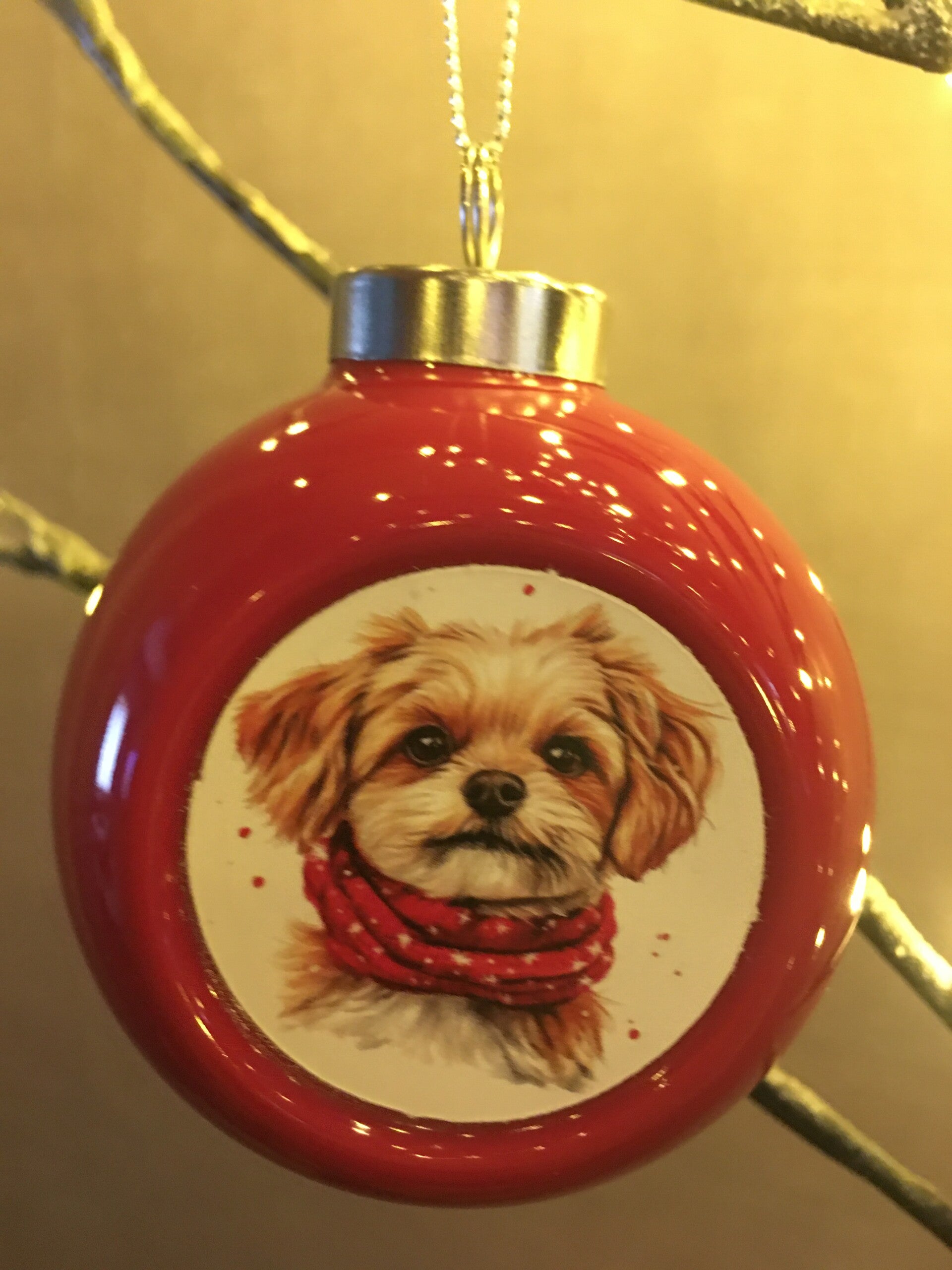 Rode kerstbal hondje