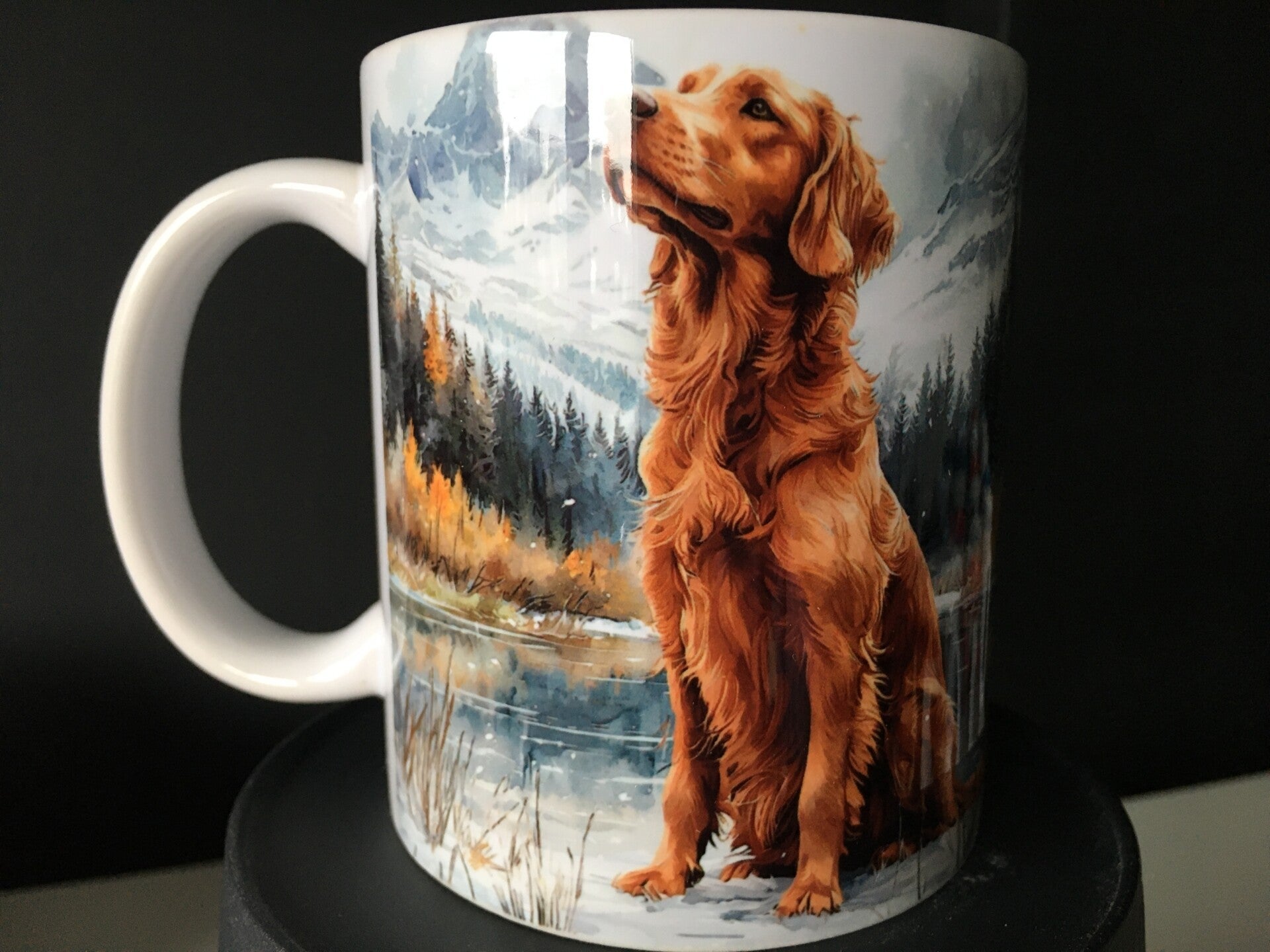 Mok Ierse Setter in winterlandschap