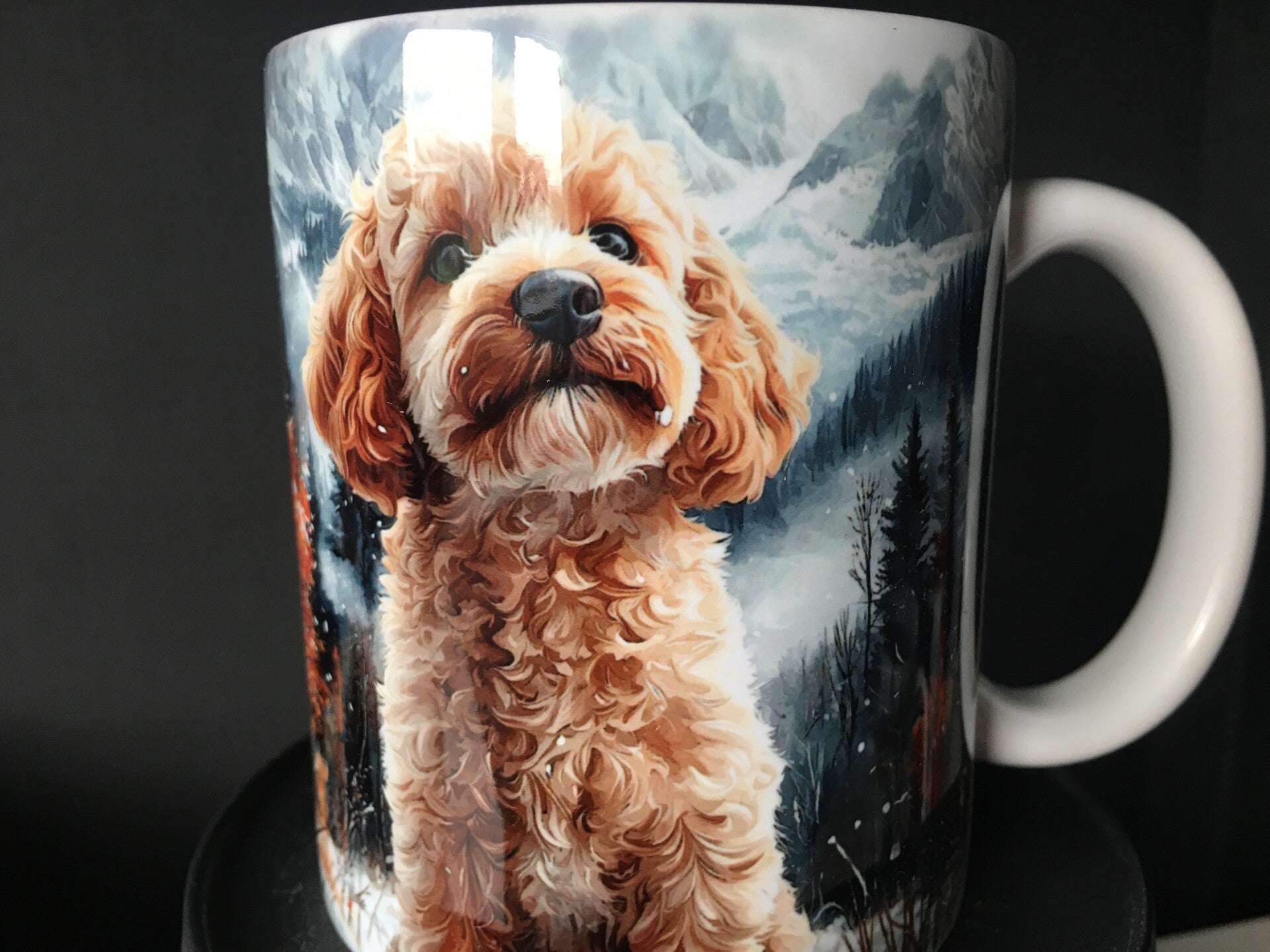 Mok Poedel in winterlandschap