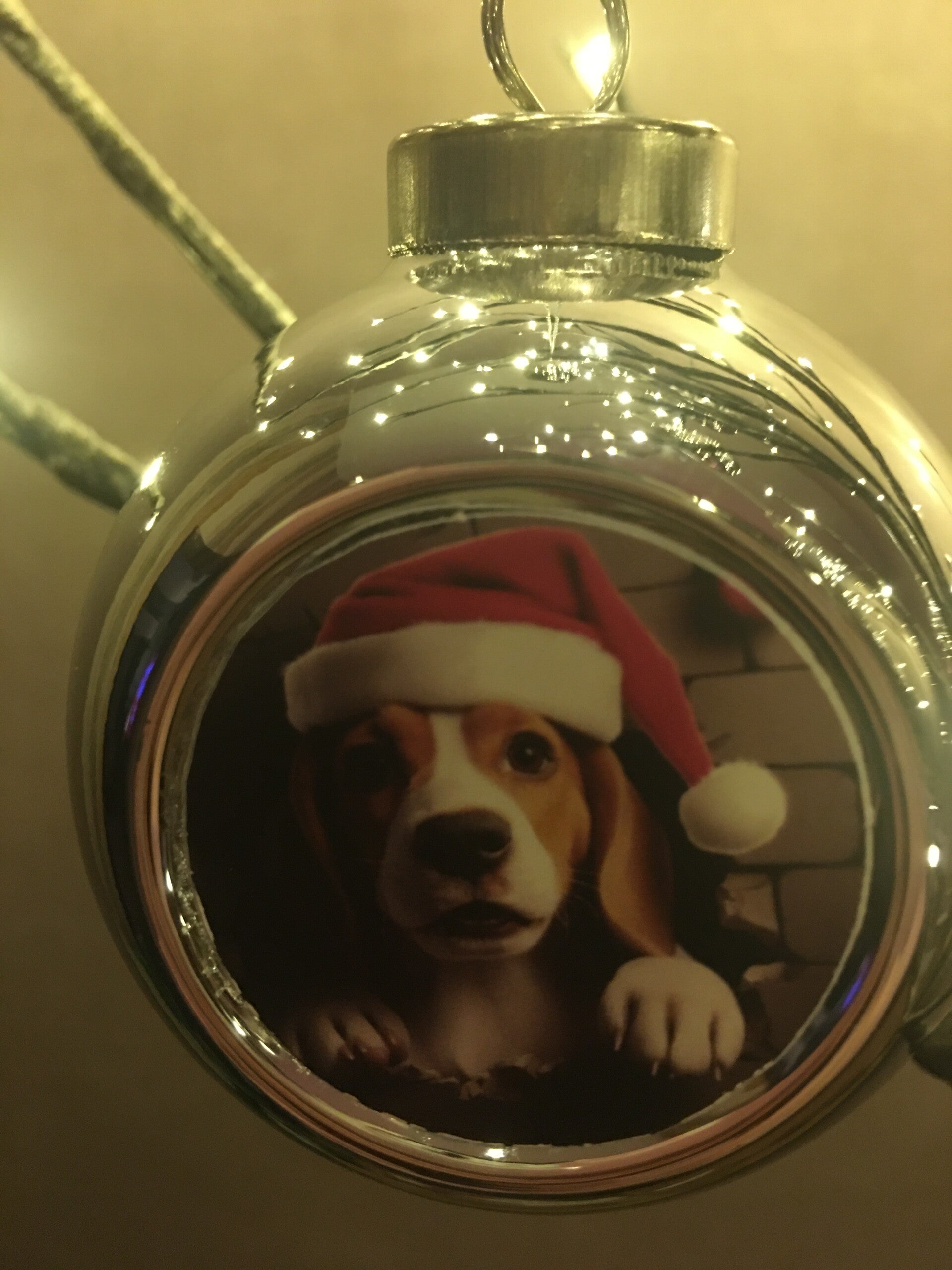 Zilveren kerstbal hondje