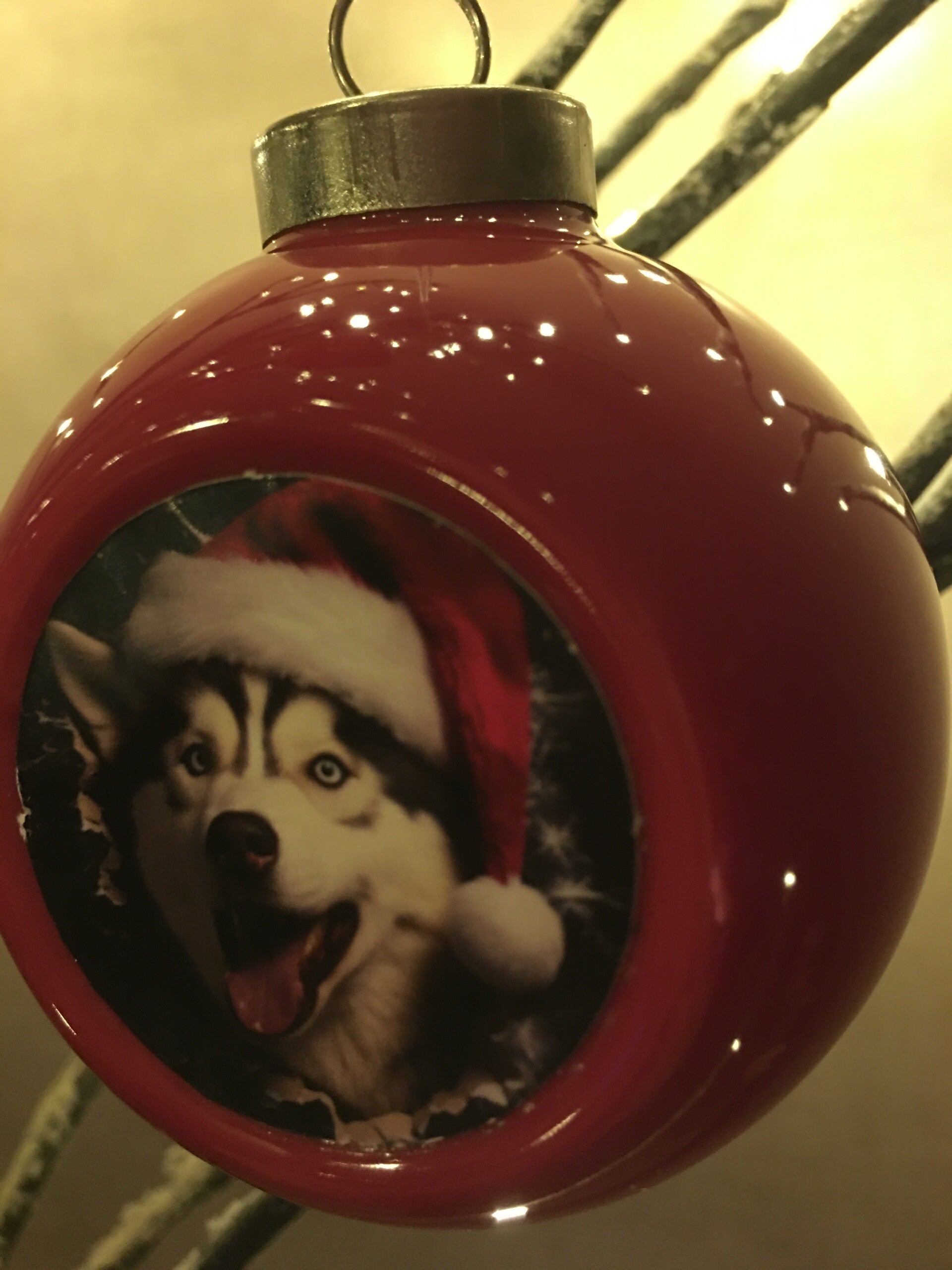 Rode kerstbal hondje