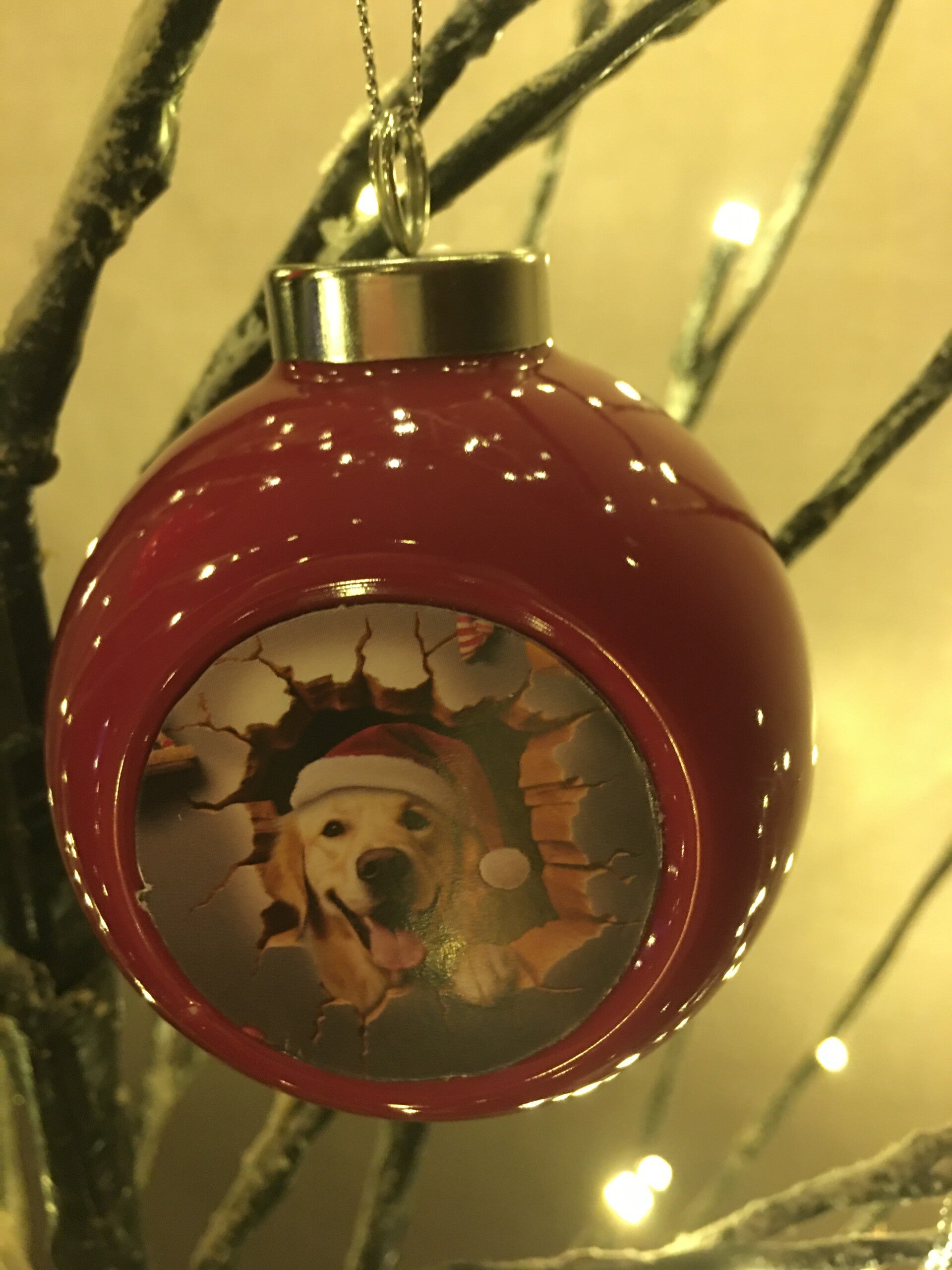 Rode kerstbal hondje