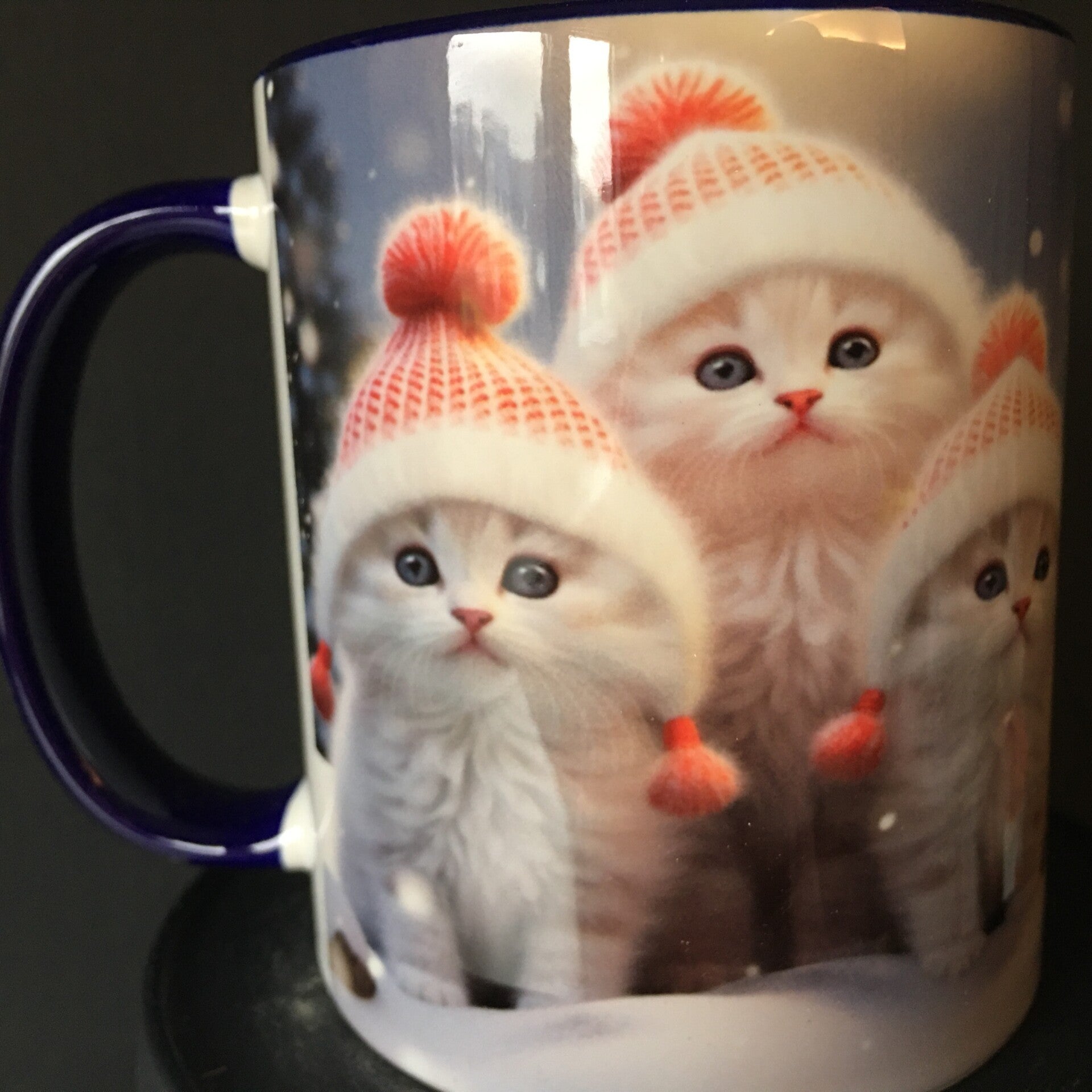 Mok kittens met wintermuts