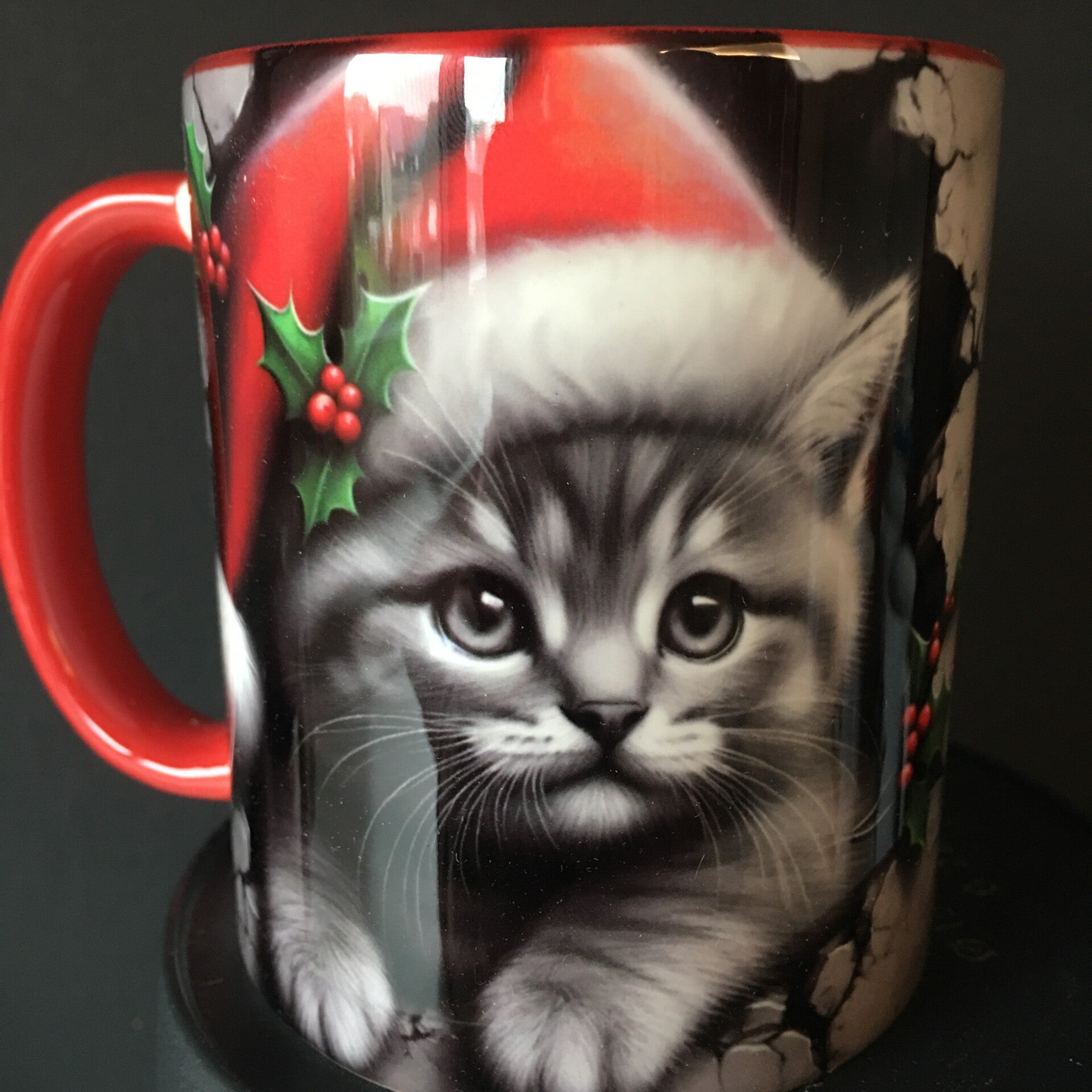 Mok kitten in zwart wit met rode kerstmuts