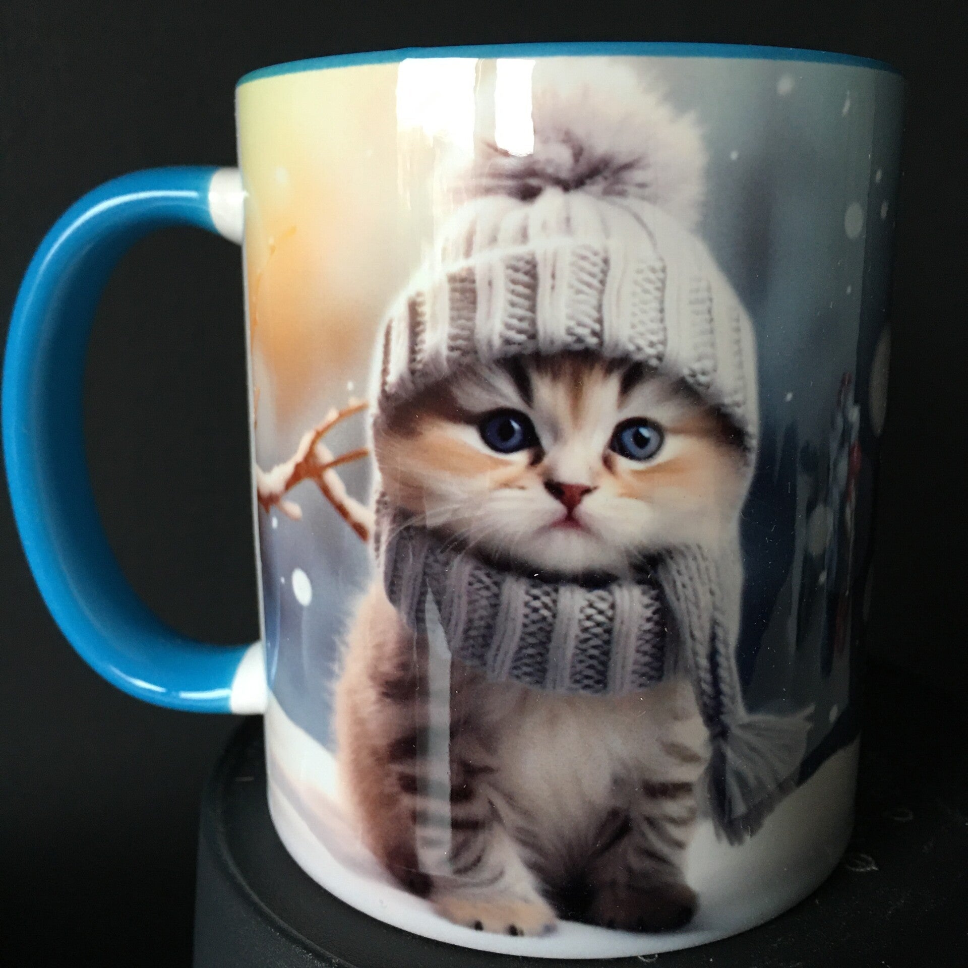 Mok kitten met sjaal en muts