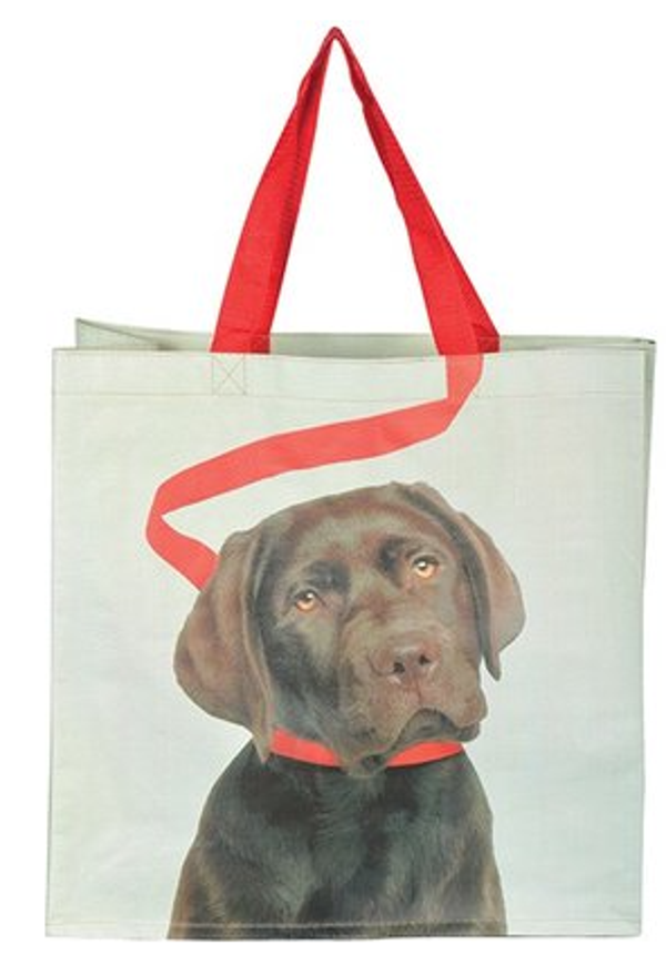 Boodschappentas Hond aan riem