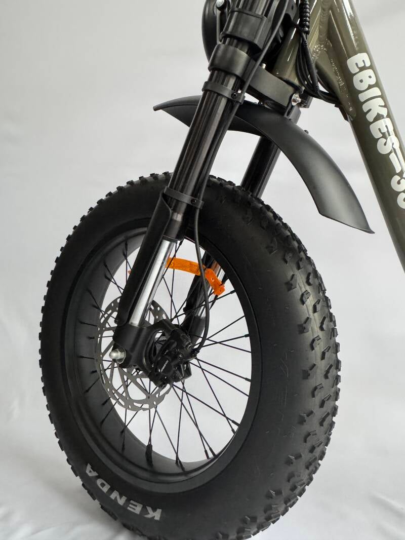 fourche-suspendue-haut-de-gamme-velo-electrique-standard.jpg