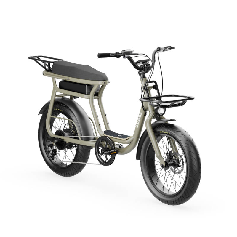 velo-cargo-biplace-occasion-elwing-yuvy-standard.jpg