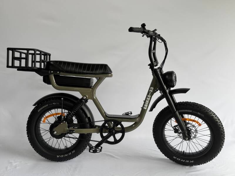 velo-electrique-biplace-panier-leger-standard.jpg