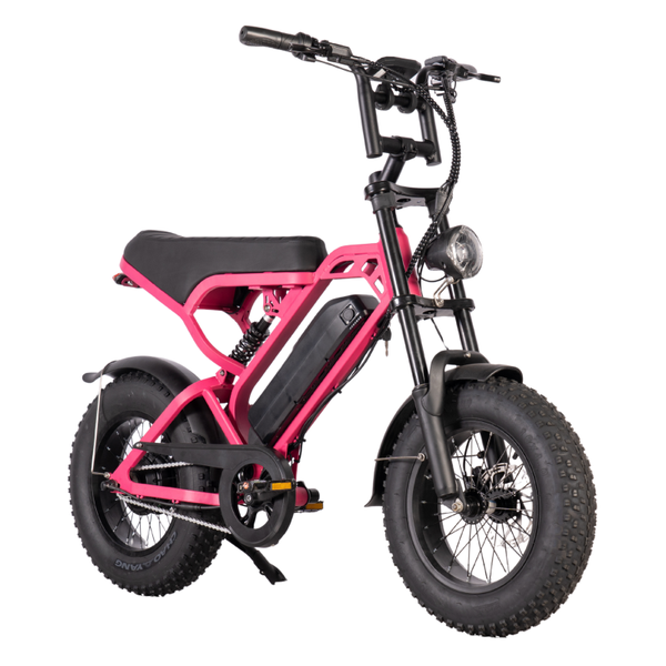 V20 MINI PRO FATBIKE PINK