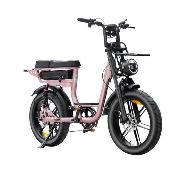 Fatbike V20 Pro – Comfort – Girls